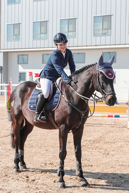 mano con smartphone leyendo una campaña de crowdfunding con barras de progreso